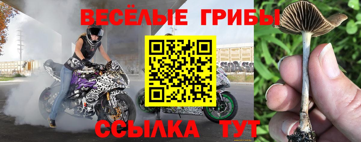 Галлюциногенные грибы прущие грибы  Галлюциногенные грибы Magic Shrooms  Корсаков  Вход с VPN 